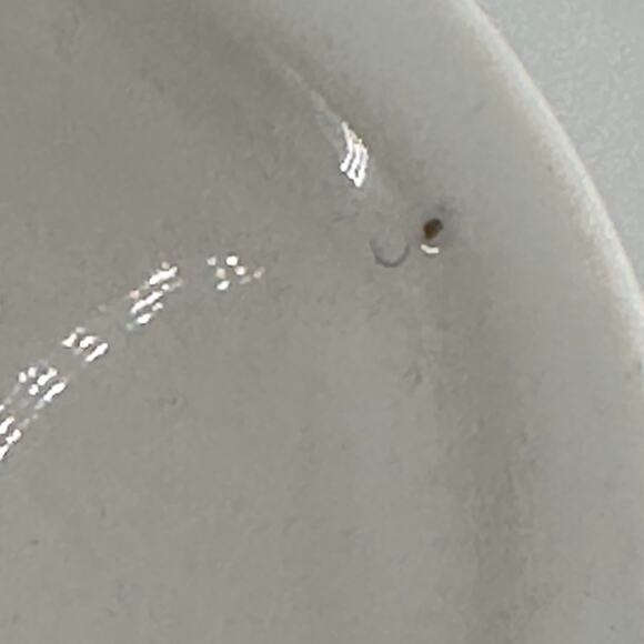 Mud Pie Quiche Set Baking Dish & Silver Server "Quiche Me Good Morning" Hugs... - Picture 6 of 8